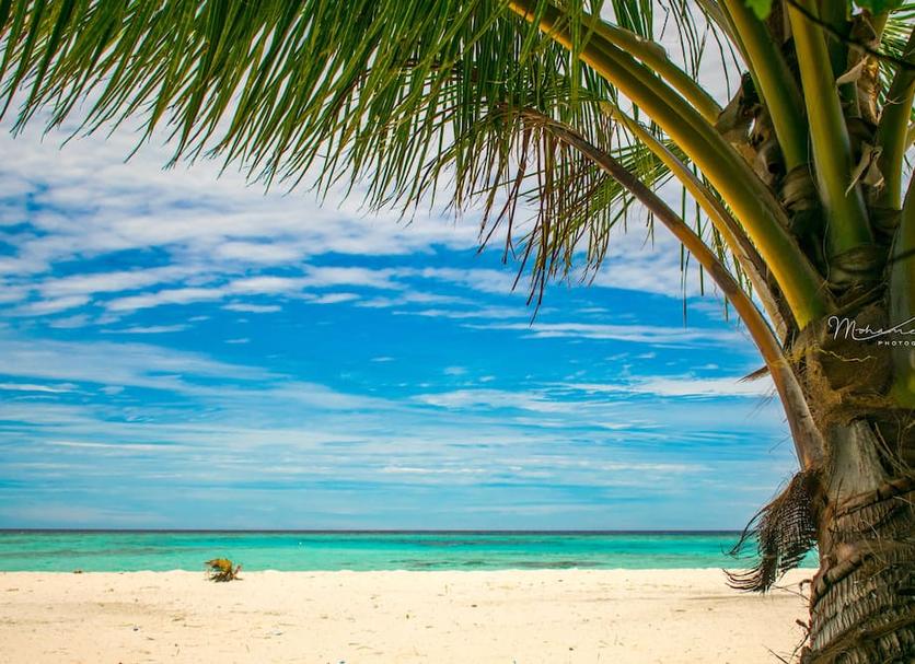 Playa Foto