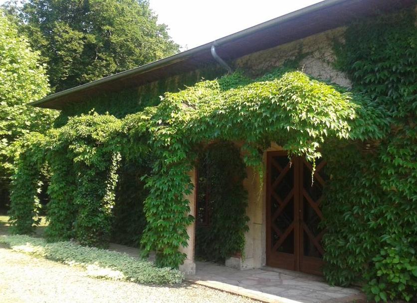 Vista del exterior Foto