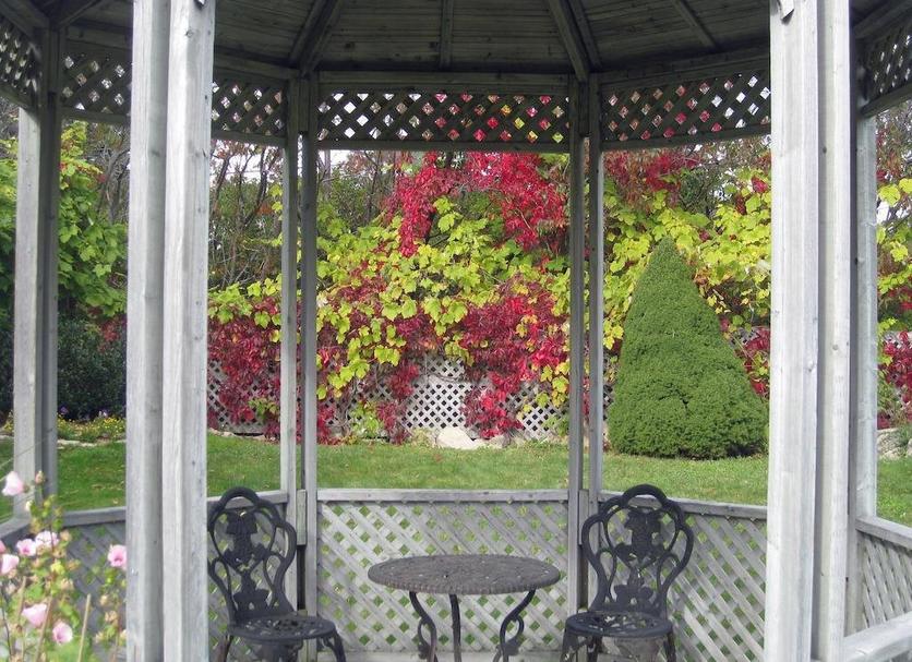 Patio Foto