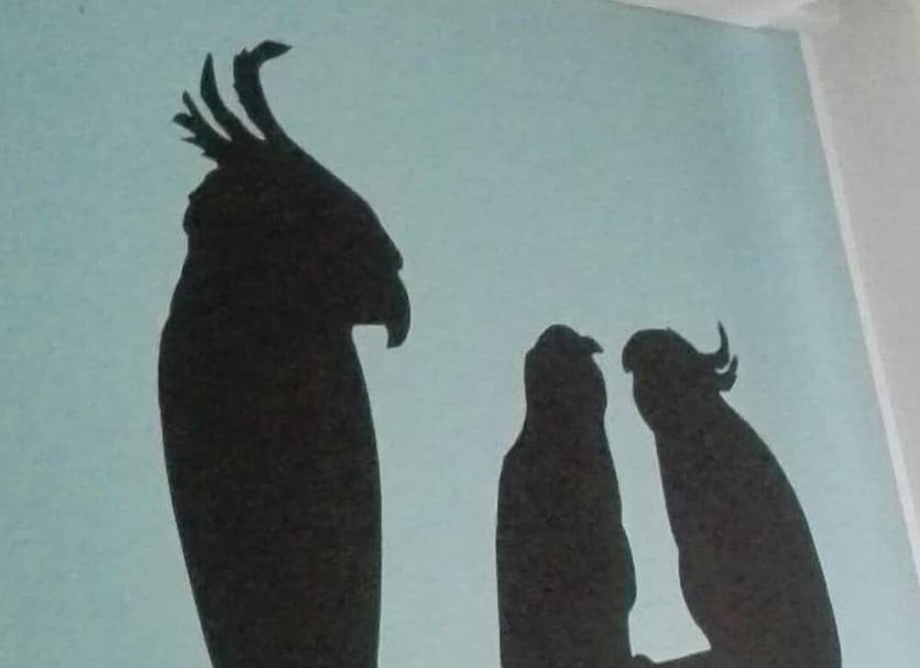Otros Foto