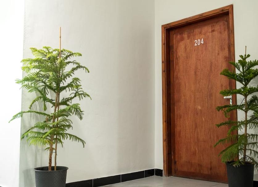 Servicio de la habitación Foto