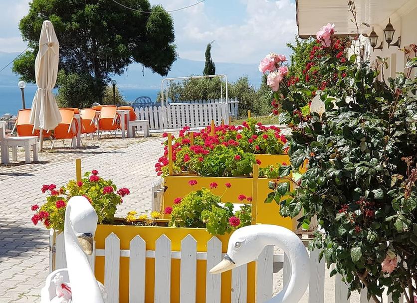 Patio Foto