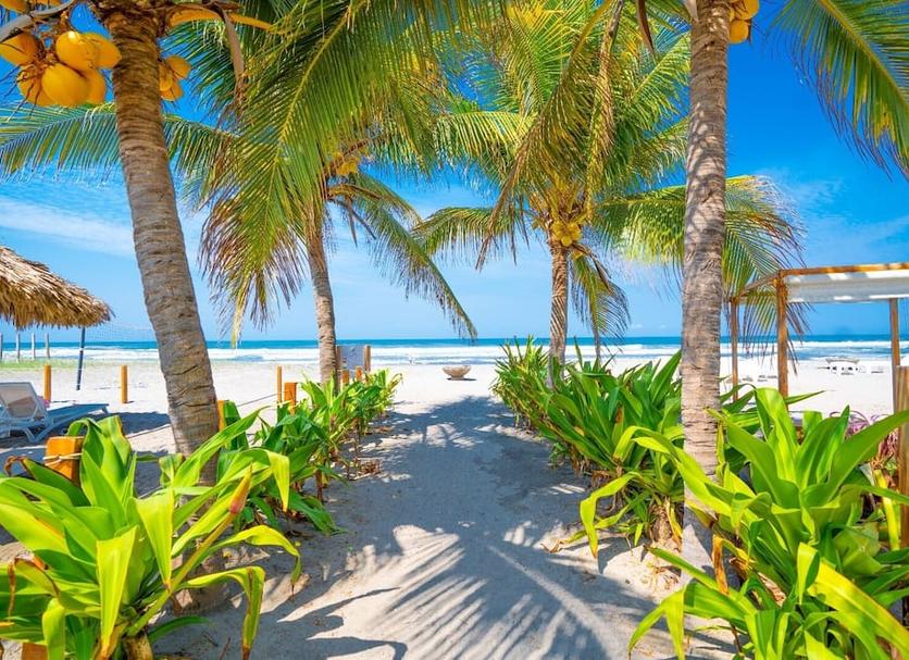 Playa Foto