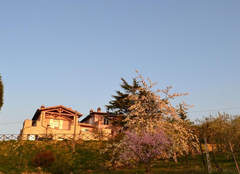 Vista del exterior Foto
