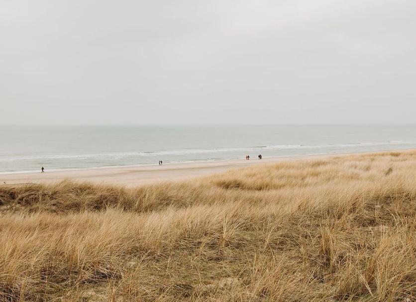 Playa Foto
