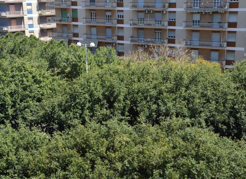 Vista del exterior Foto