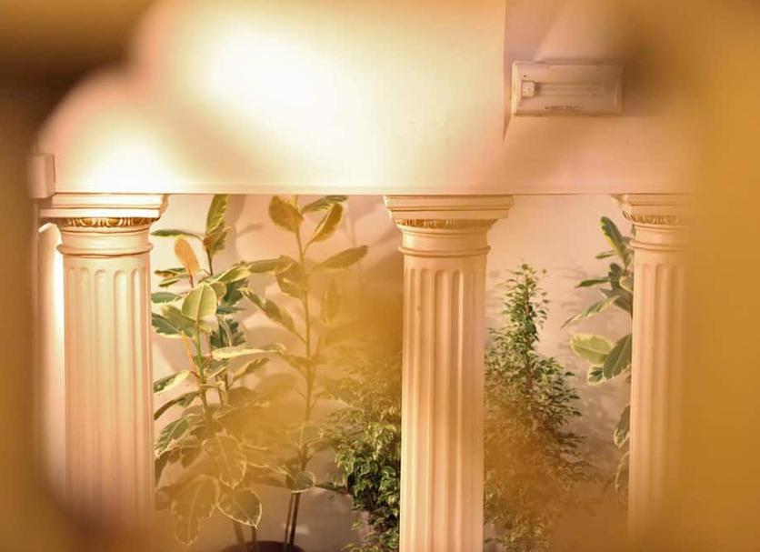 Servicio de la habitación Foto