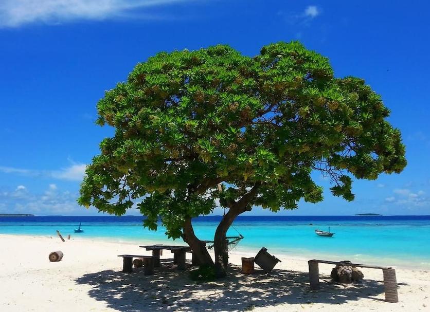 Playa Foto