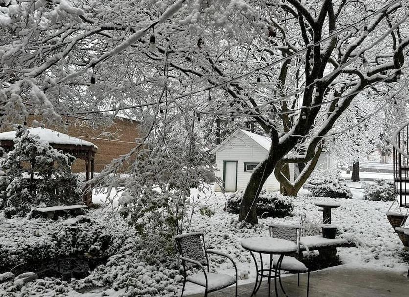 Patio Foto