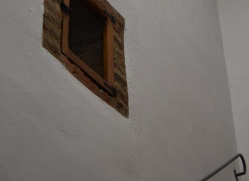Otros Foto
