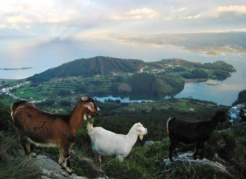 Otros Foto