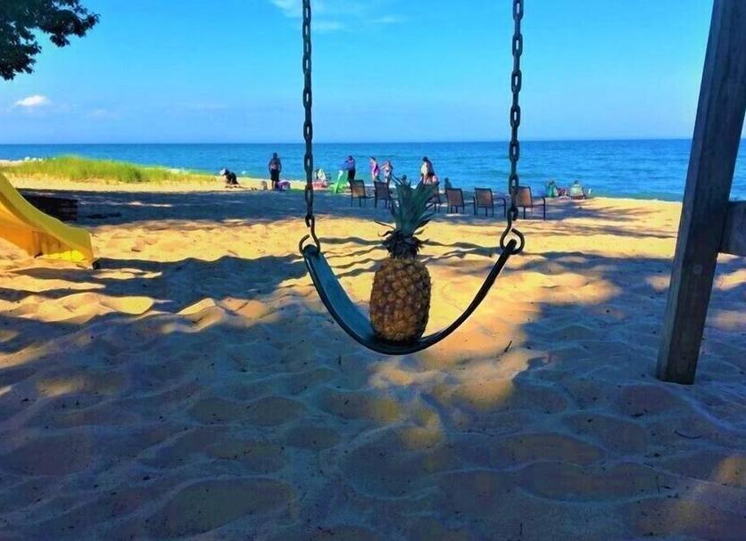 Otros Foto