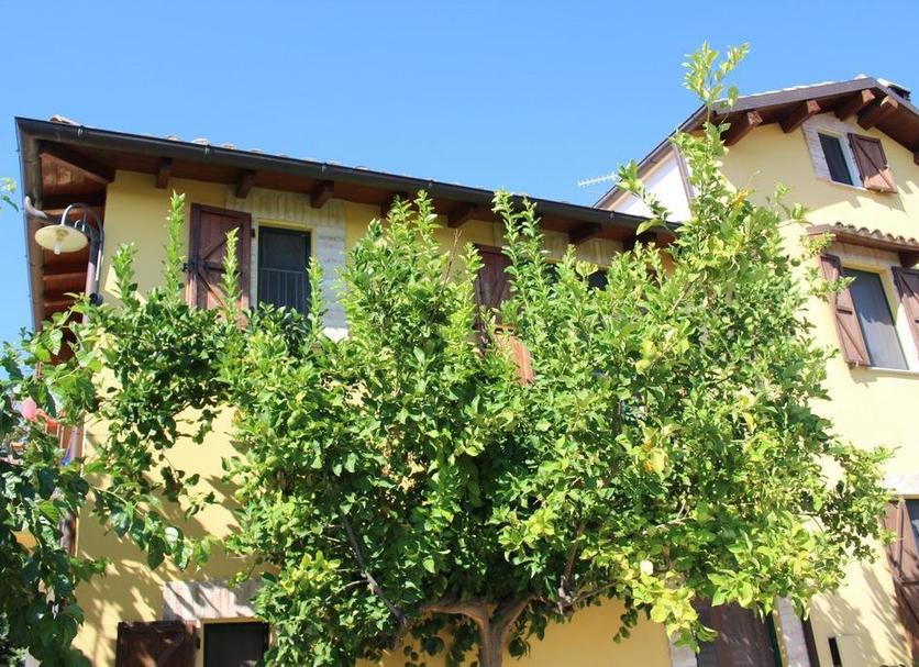 Vista del exterior Foto
