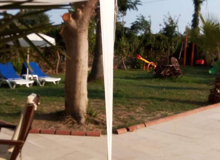 Otros Foto