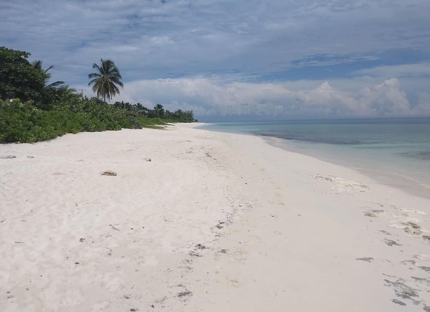 Playa Foto
