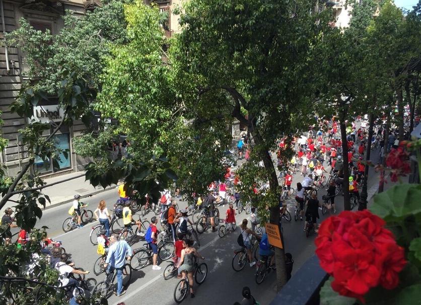 Otros Foto
