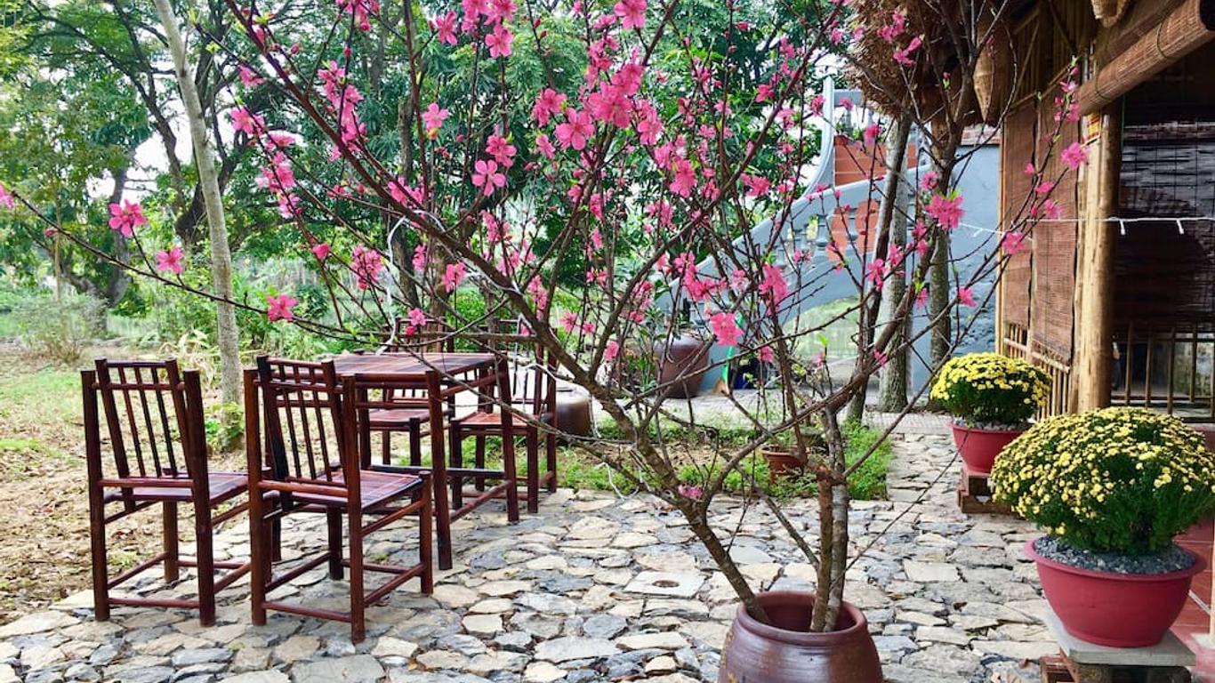 Dinh Gia Home