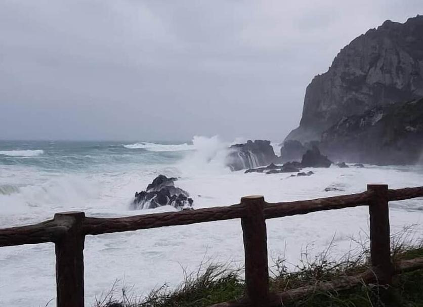 Otros Foto