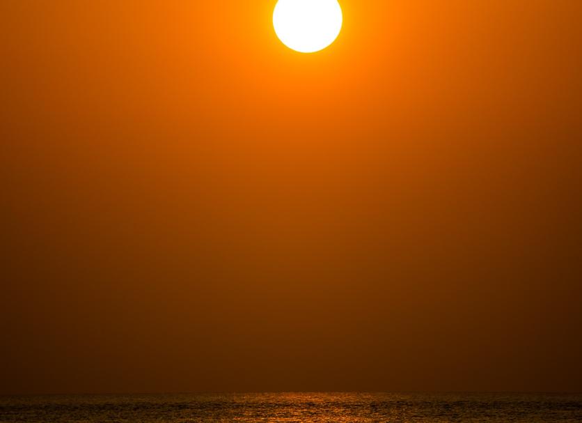 Otros Foto