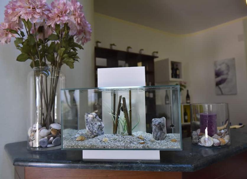 Servicio de la habitación Foto