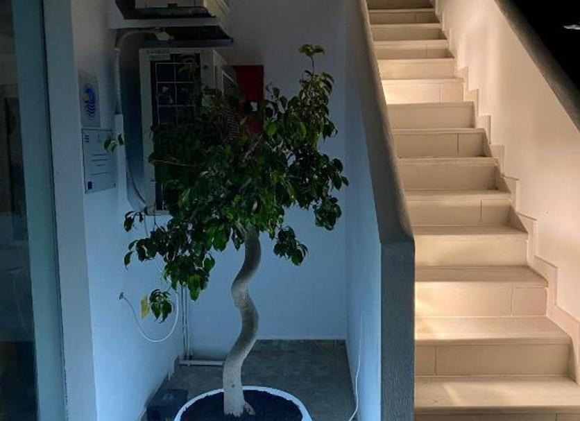 Escaleras Foto