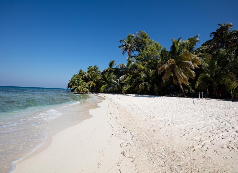 Playa Foto
