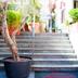 Escaleras