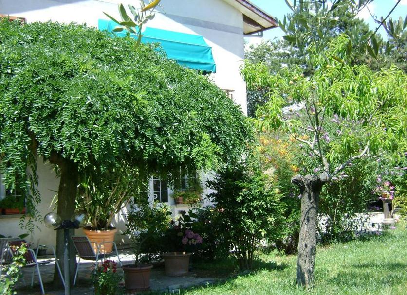 Vista del exterior Foto