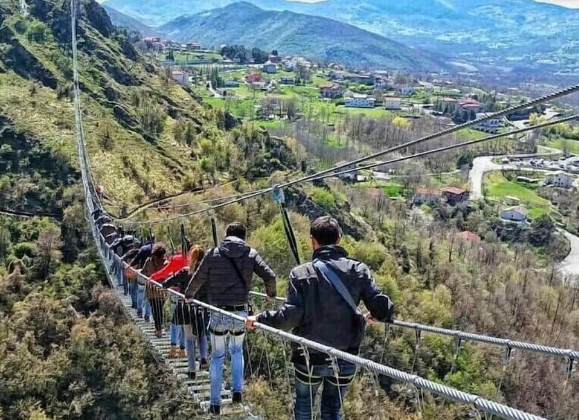 Otros Foto