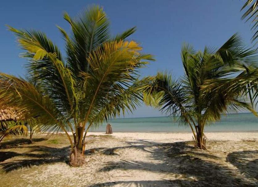 Playa Foto