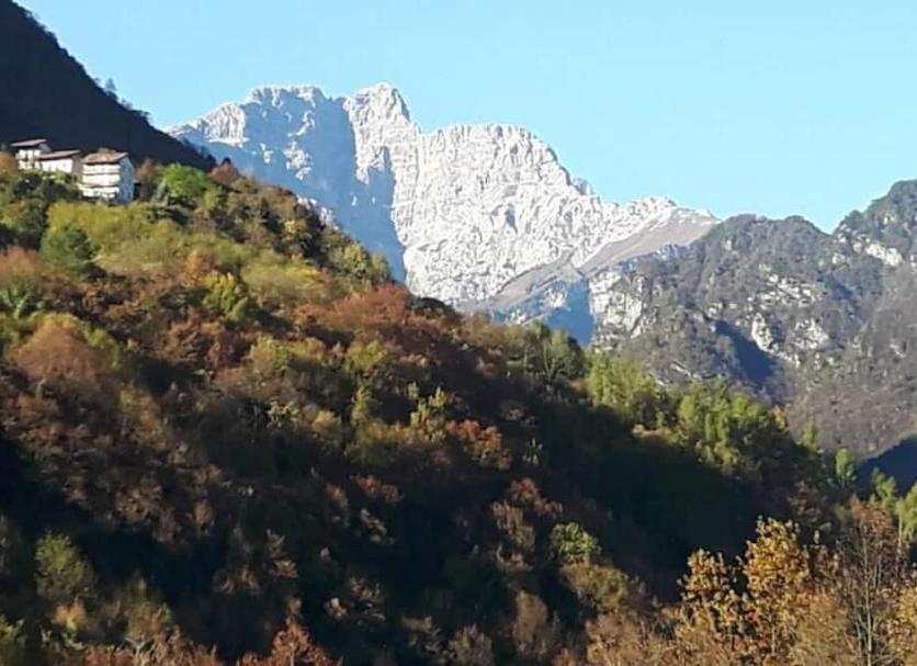 Otros Foto