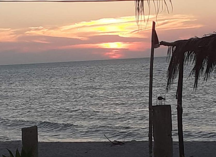 Otros Foto