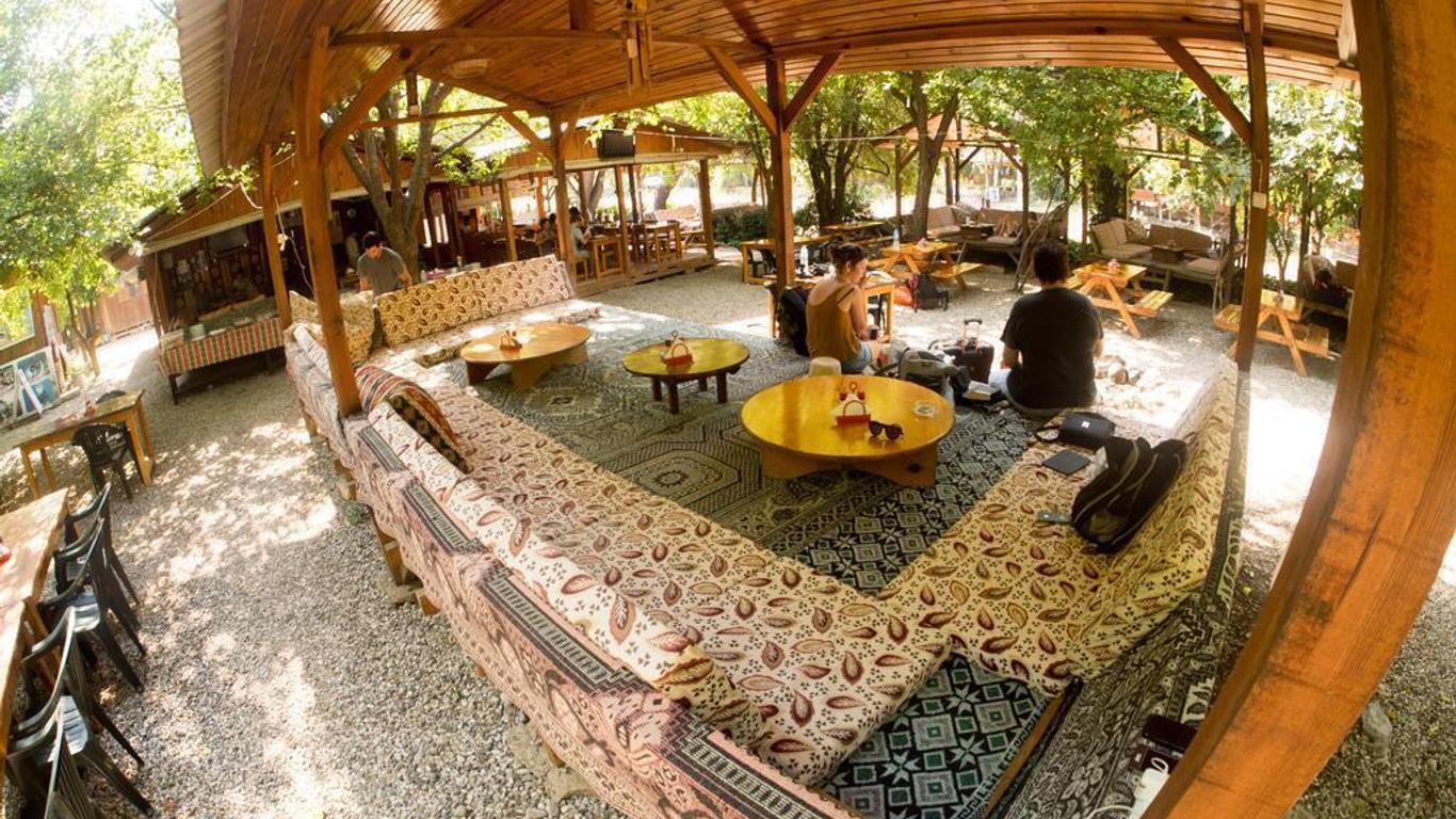 Saban Tree Houses