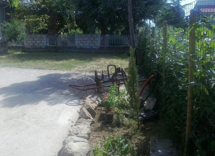 Otros Foto