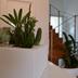Decoración