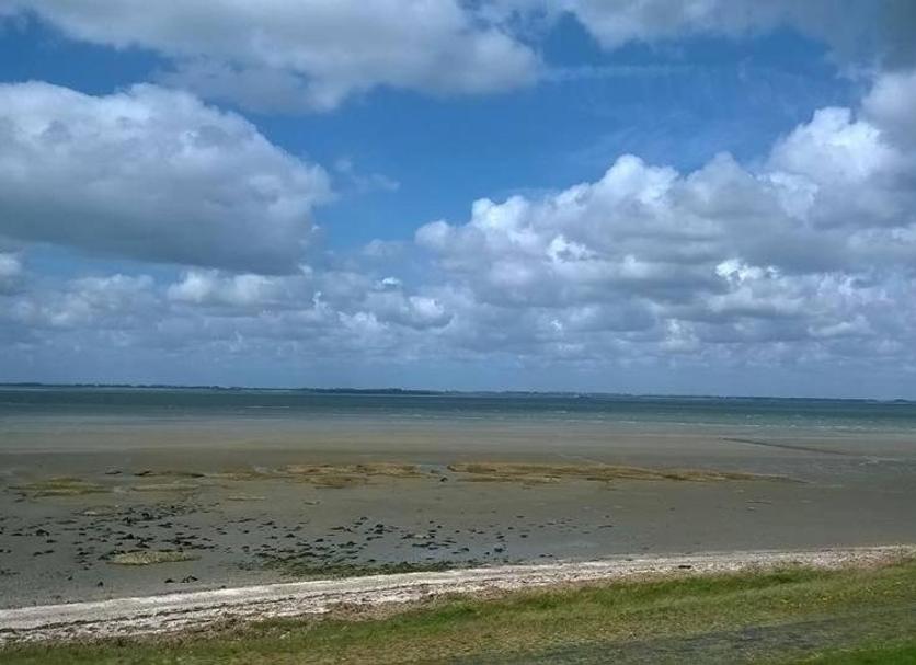 Playa Foto
