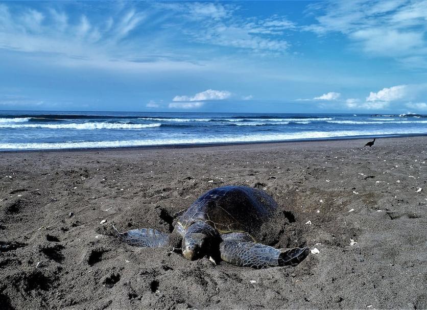 Playa Foto