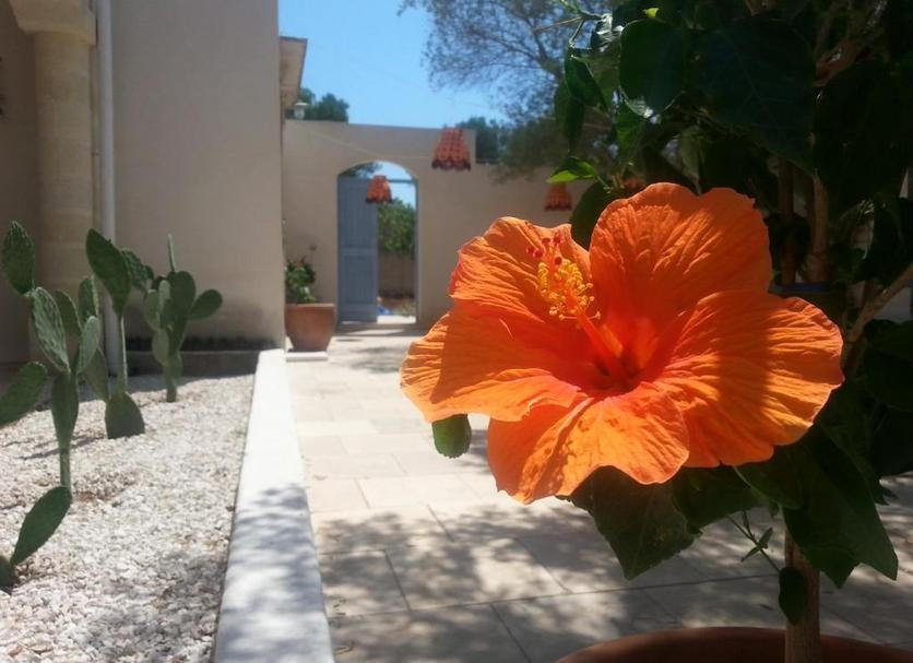 Vista del exterior Foto