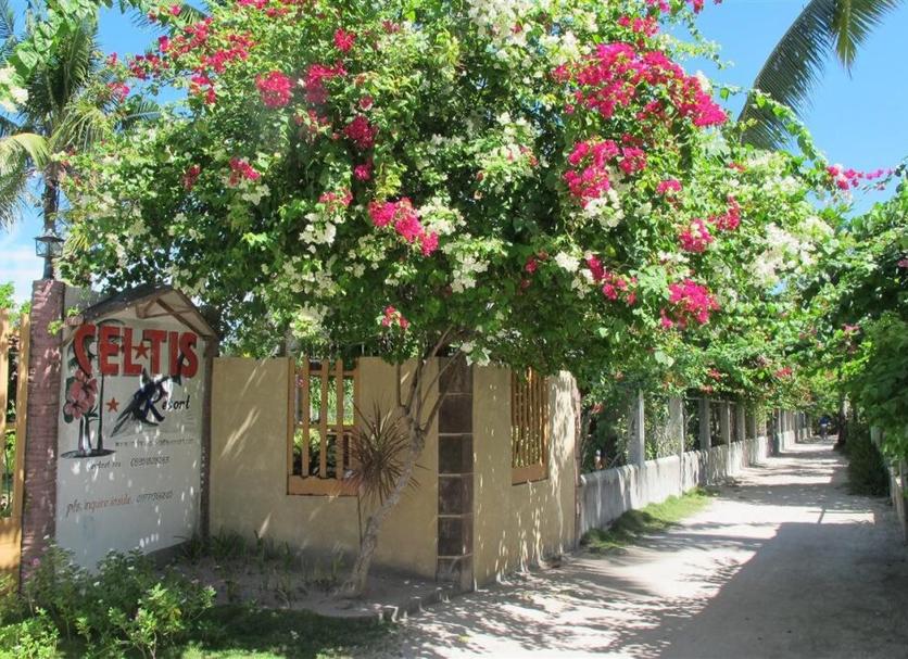Vista del exterior Foto