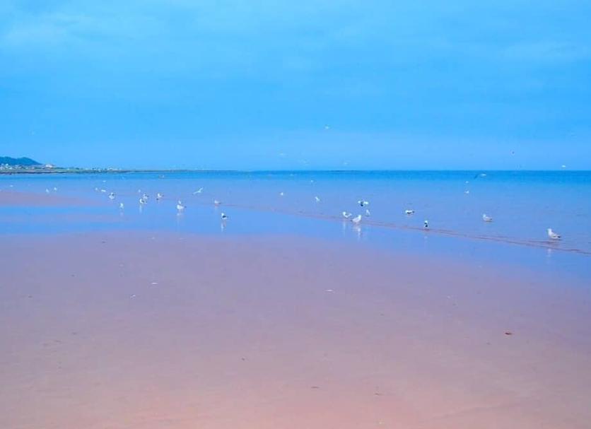 Playa Foto