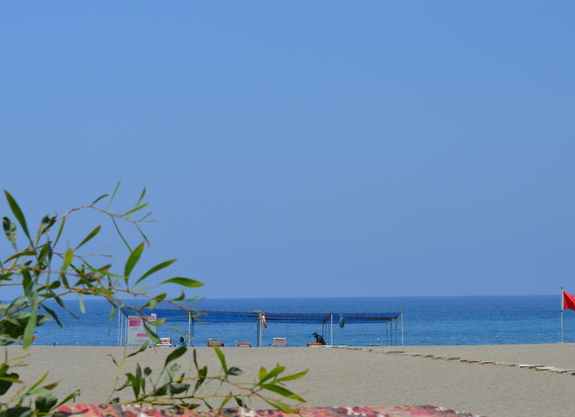 Playa Foto