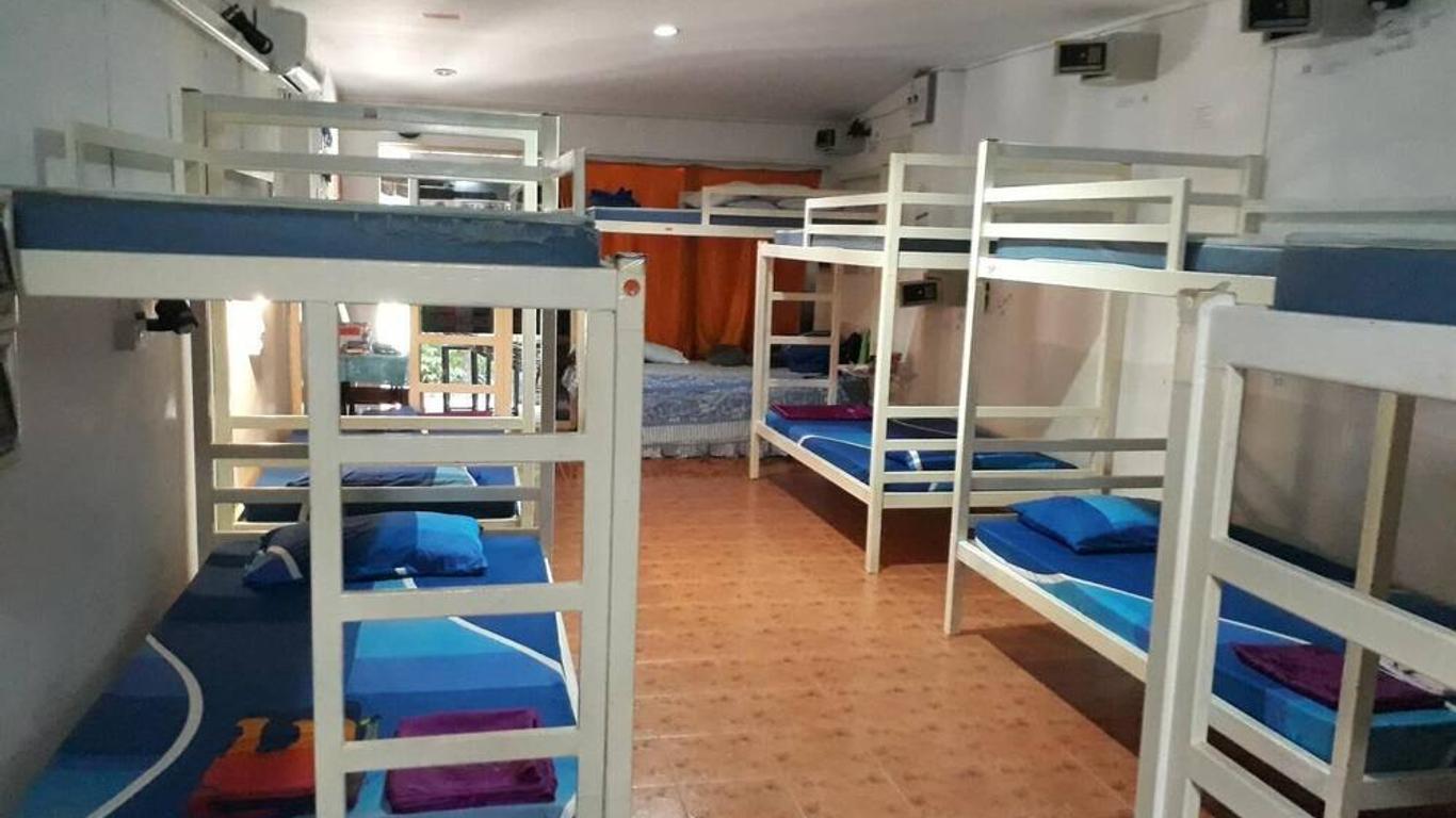 Hangover Hostel
