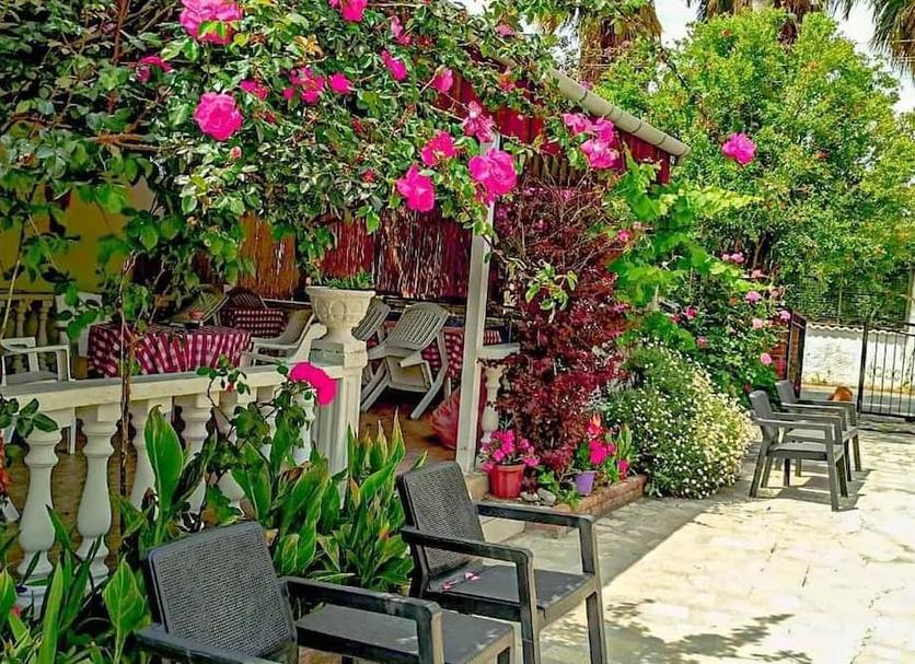 Patio Foto