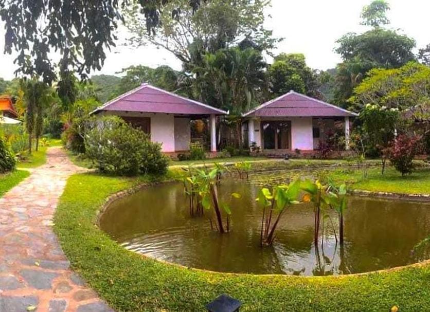 Vista del exterior Foto