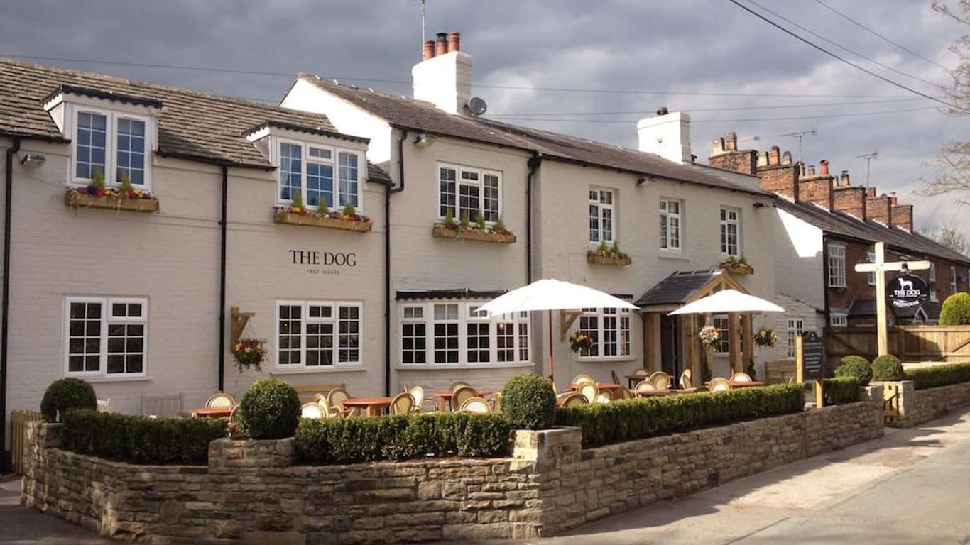 The Dog in Over Peover