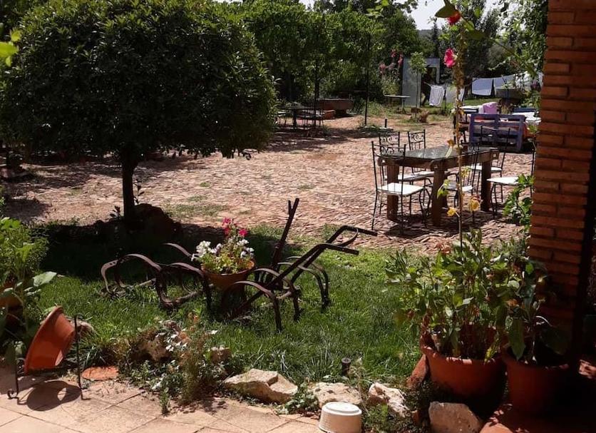 Patio Foto