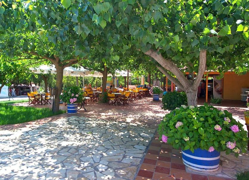 Patio Foto