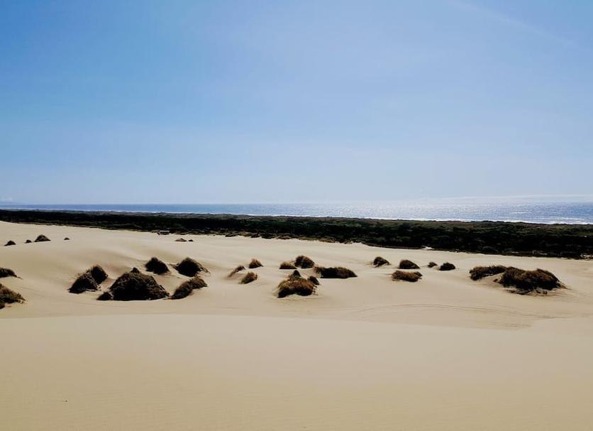Playa Foto
