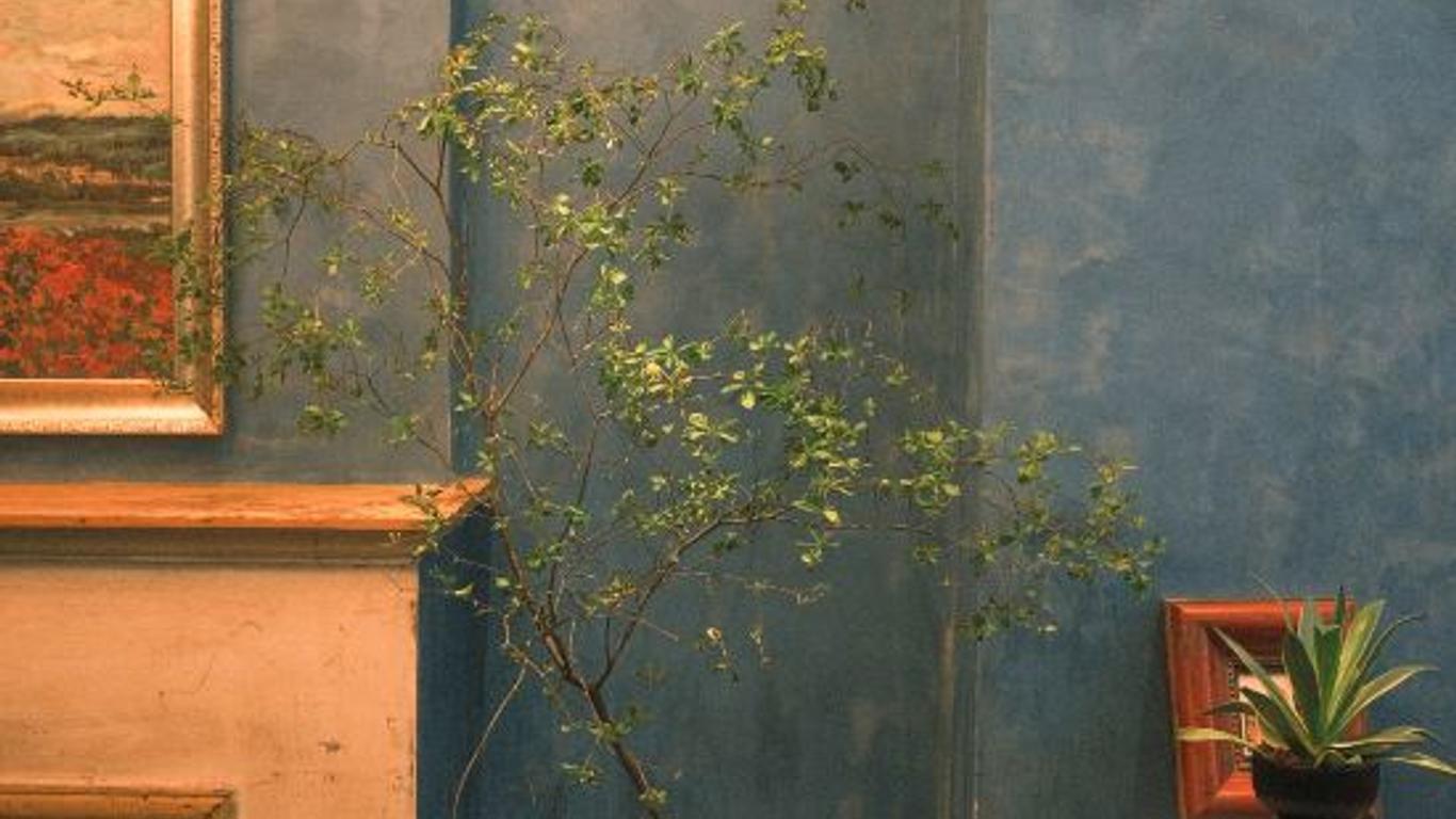 Moganshan Lingdi Art Space homestay