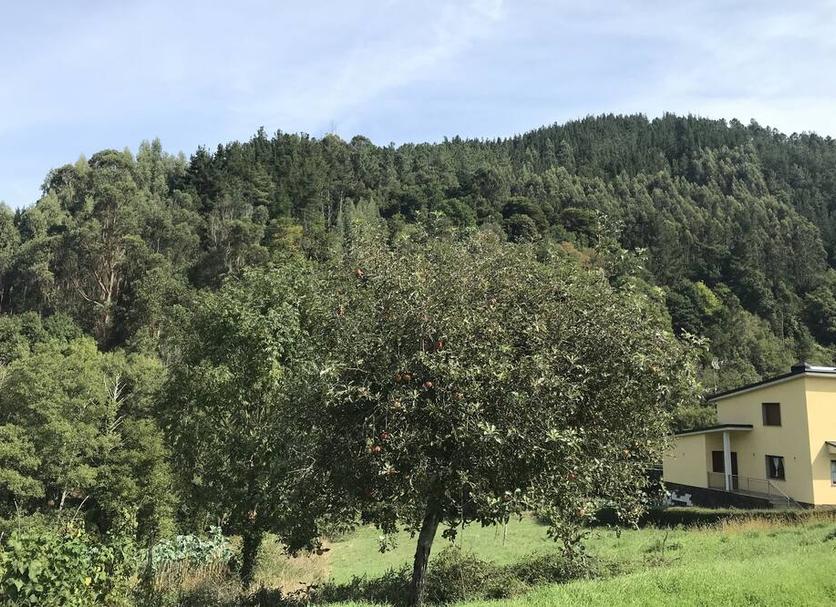 Vista del exterior Foto